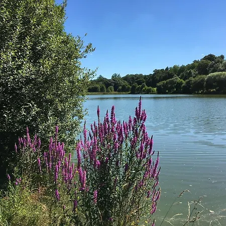 Le Vieux Chateau De Martin-lars Saint-Martin-Lars-en-Sainte-Hermine