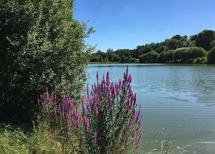 Le Vieux Chateau De Martin-lars Saint-Martin-Lars-en-Sainte-Hermine
